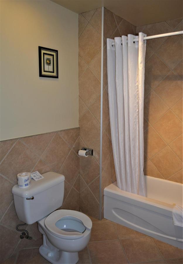 Motel Quatre Saisons Forestville Ngoại thất bức ảnh