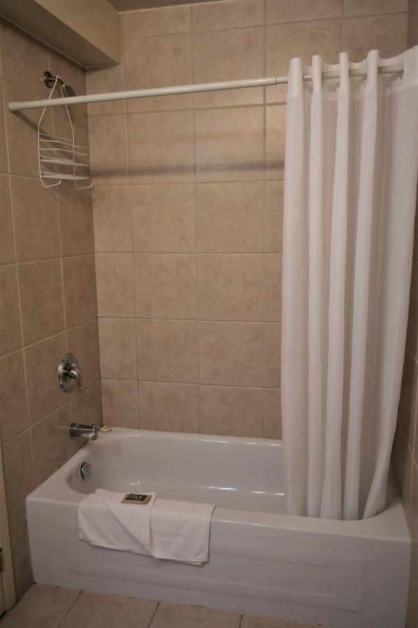 Motel Quatre Saisons Forestville Ngoại thất bức ảnh